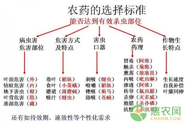 如何经营管理好一个果园？果农必看的36条植保知识！(图2)