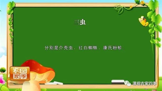 新澳门游戏网站入口春季果园管理云课堂（三）：苹果树春季保花保果病虫防治勿放松(图5)