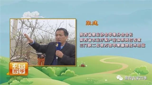 新澳门游戏网站入口春季果园管理云课堂（三）：苹果树春季保花保果病虫防治勿放松(图2)