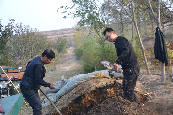 新澳门游戏在农村租地栽果树前景怎么样？比种粮食强但想赚钱要靠个人(图7)