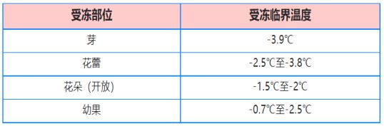 新澳门游戏【微大荔农服】果树预防倒春寒管理方案(图1)