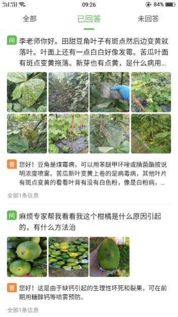 植保专家李界秋在线“开方”让更多的农民学会科学种植(图2)