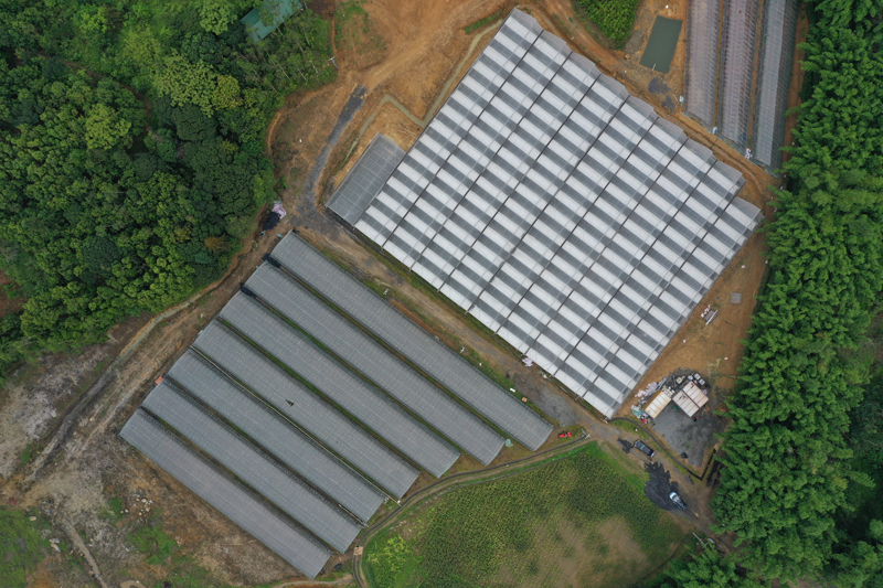 防城区：智慧生态种植大棚助力农业绿色化转型升级(图2)