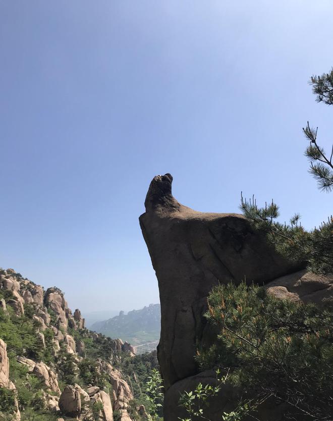 地中山、地中潭、地中瀑！江北最大野生杜鹃繁殖基地日照九仙山(图8)