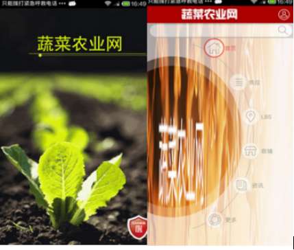 用蔬菜农业网APP学会科技种植蔬菜(图1)