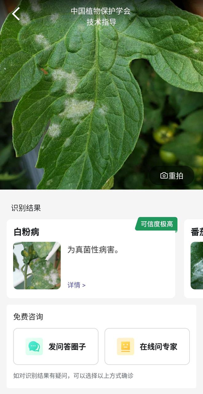 一款能识别52种作物病虫害的软件你一定没用过！(图3)