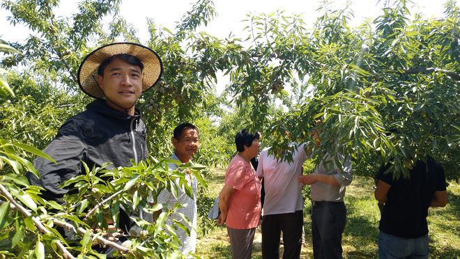 新澳门游戏网站入口巴旦木苗木种植“三大优势五大核心技术”坚果市场前景及利润(图1)