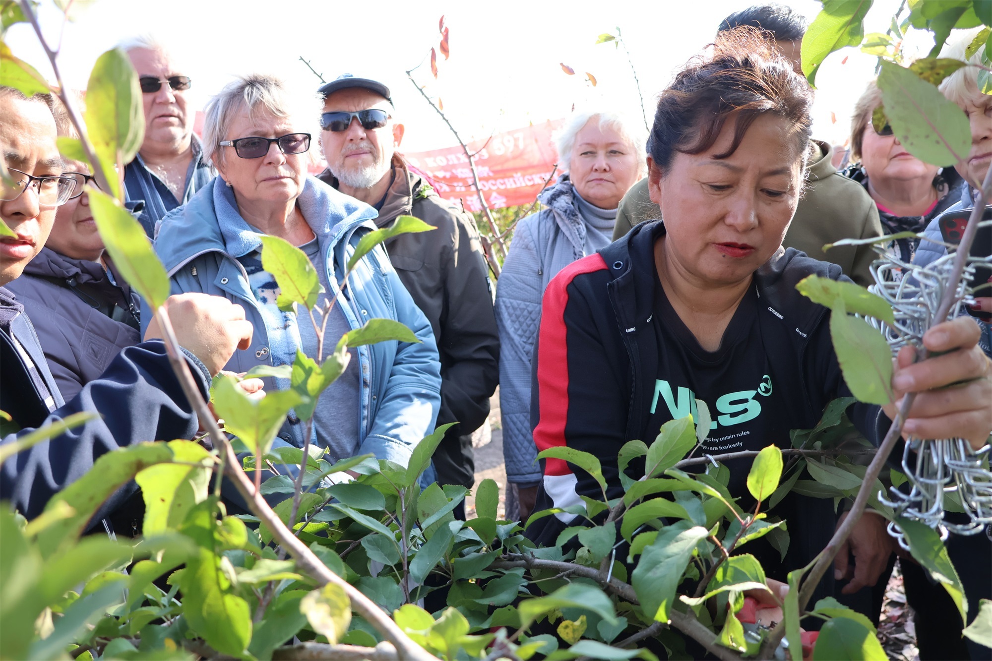 新澳门游戏网站入口俄罗斯符拉迪沃斯托克飘起五九七果香(图2)