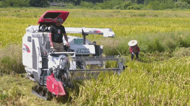 新澳门游戏网站入口肇庆：大力推广现代农业技术提高粮食增产增收(图1)