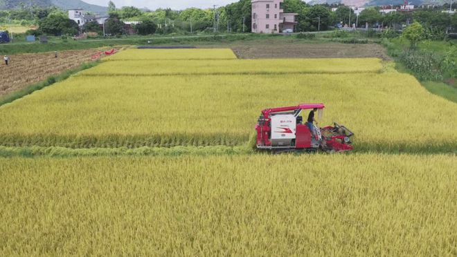 新澳门游戏网站入口肇庆：大力推广现代农业技术提高粮食增产增收(图5)