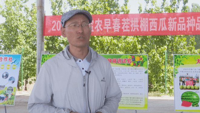 新澳门游戏网站入口青铜峡 中滩村乐宝农瓜菜基地邀你共赴一场甜蜜的约会(图4)