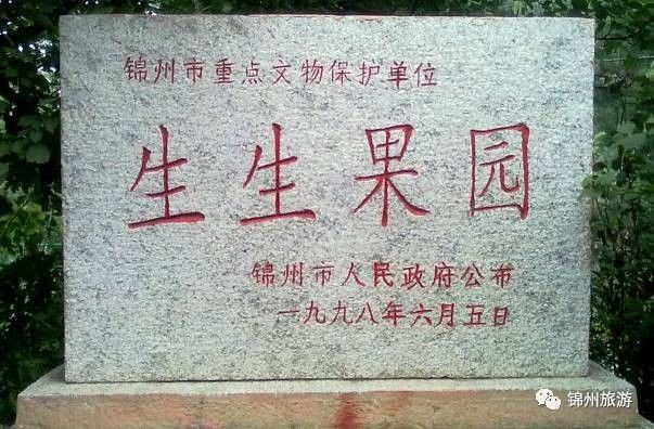 锦州苹果熟啦！这些采摘园喊你来采摘(图4)