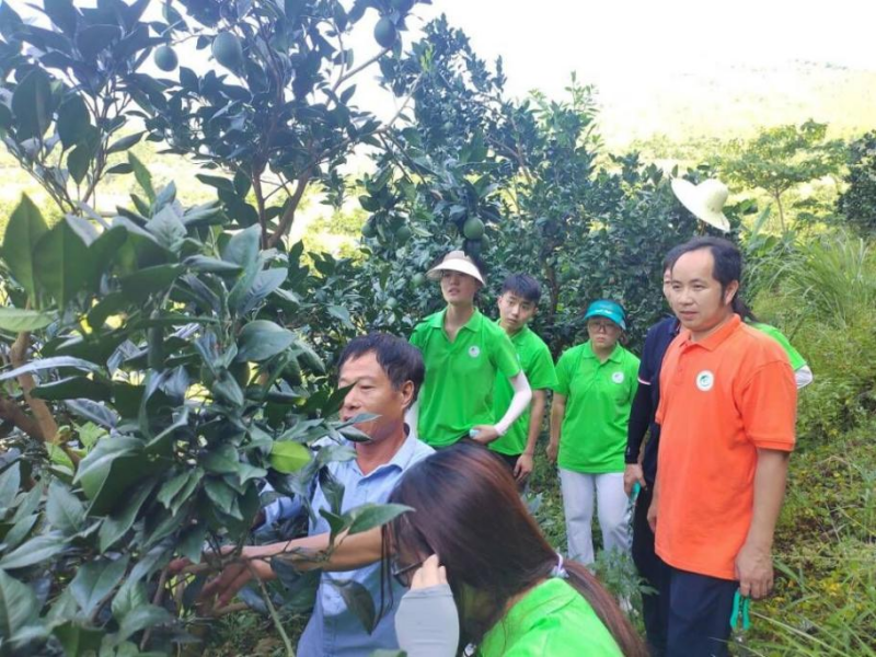 福建尤溪柑橘科技小院：扎根梯田破解柑橘产业难题(图3)