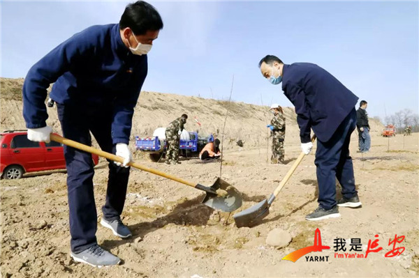 春日风光好 同栽致富树(图1)