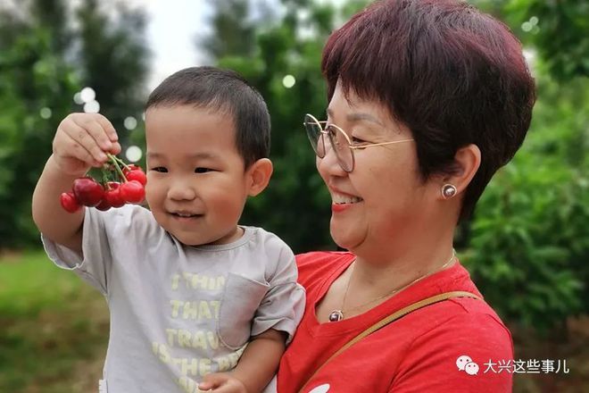 甜到合不拢嘴！来大兴旁这个三百亩的樱桃采摘园让你一次吃个够(图4)