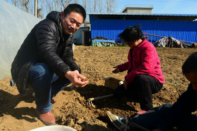 新澳门游戏网站入口农村人搞农业种植不掌握3个方面的技能只能竹篮打水一场空(图2)