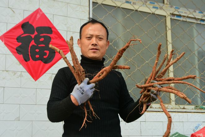 新澳门游戏网站入口农村人搞农业种植不掌握3个方面的技能只能竹篮打水一场空(图1)