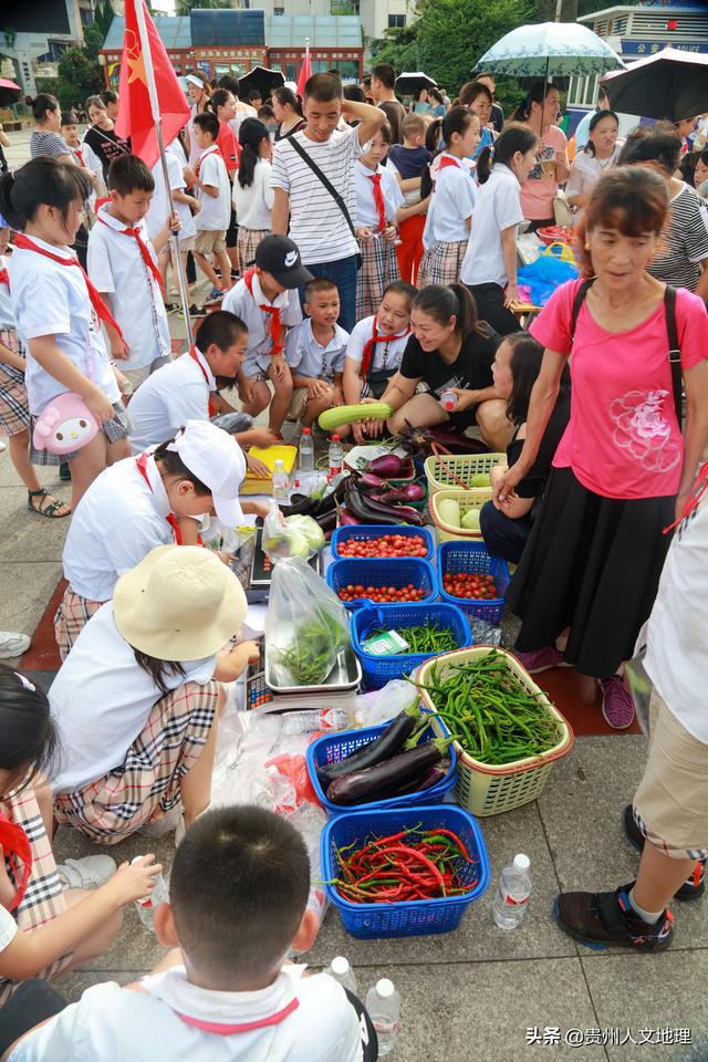 暑期开展“秋收采摘 自产自销”活动(图1)