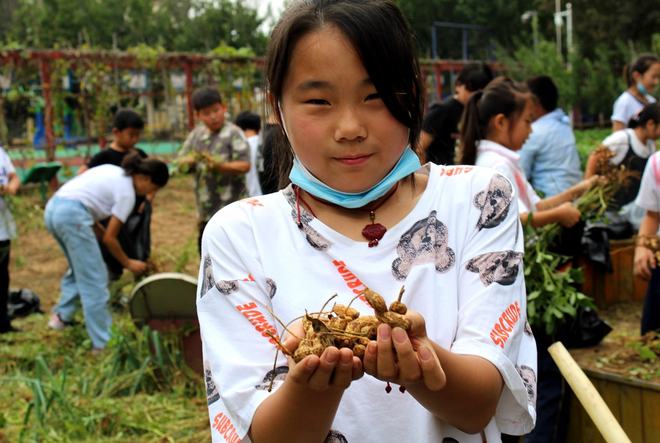 瓜果飘香京城校园里过起了丰收节！硕果累累等你来Pick(图13)