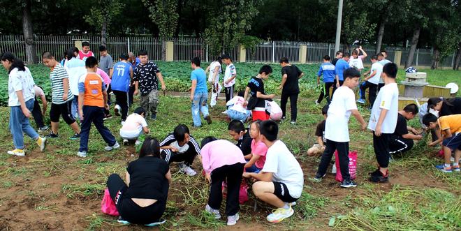 瓜果飘香京城校园里过起了丰收节！硕果累累等你来Pick(图11)