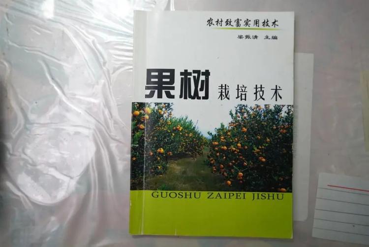 新澳门游戏网站入口直播间教种地？8旬老人赶潮流上“网课”(图6)