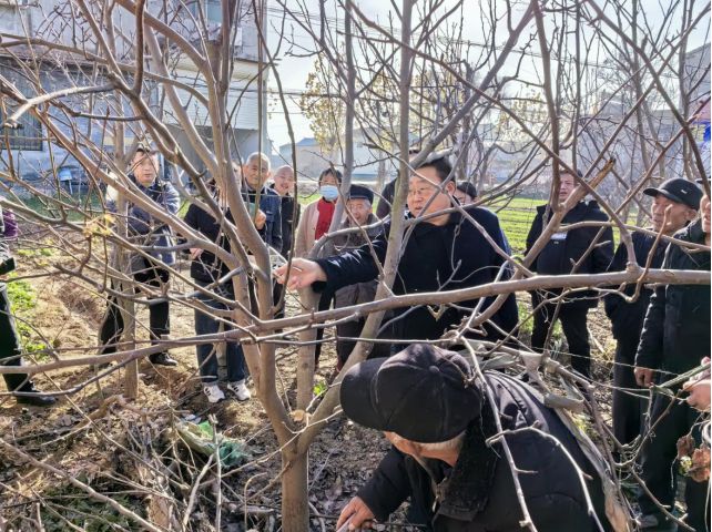 新澳门游戏商丘市梁园区农业农村局：驻村工作队送技术下乡受欢迎(图1)