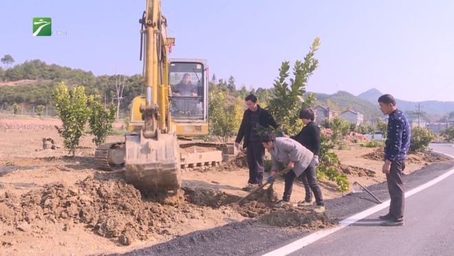 新澳门游戏网站入口广丰农技专家田间地头指导果树栽培(图1)