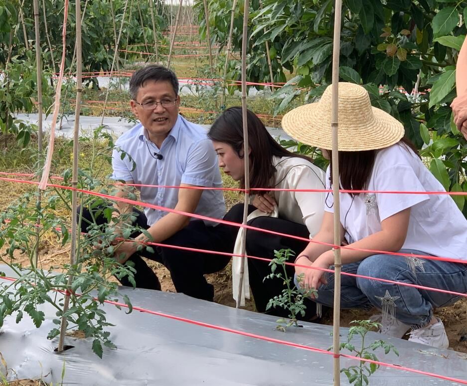 课堂设在田地间 种植技术“云”上学-广东省农业农村厅(图1)