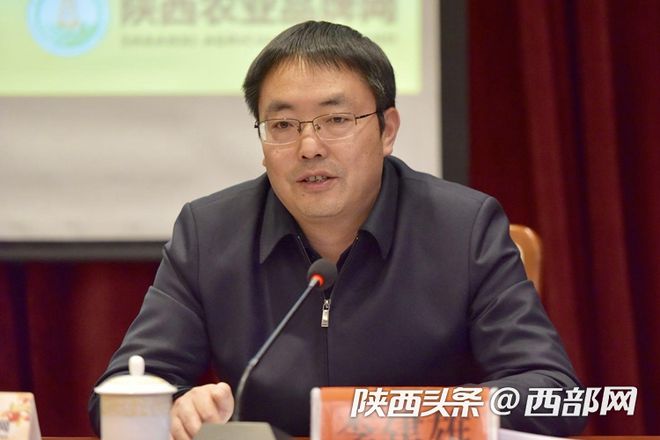 新澳门游戏黄陵：26万亩的果园硕果累累迎丰收 果区人均果业收入23809元(图4)