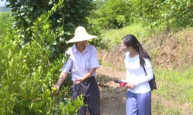 试种百种稀奇水果 荒山变百果园(图2)