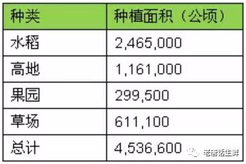 日本果农原来是这样给苹果树打药的！(图1)