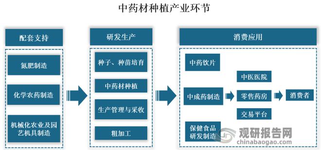 新澳门游戏我国中药材种植行业： 未来聚焦道地药材+生态种植+区域品牌(图1)