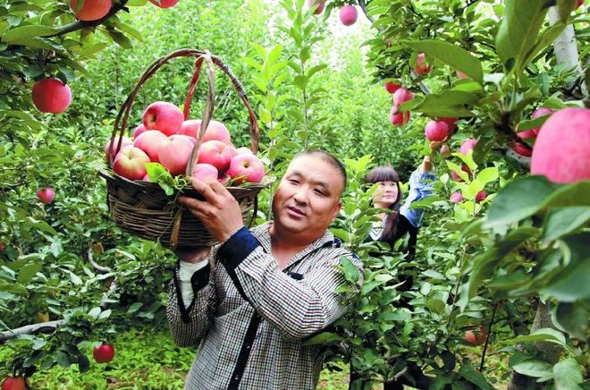 新澳门游戏2020年种植什么能赚钱？这4个前景好、风险低的小资项目可作参考(图5)