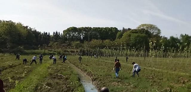 新澳门游戏网站入口农村植树造林给补助吗？补贴标准是什么？符合条件的农民都可领取(图1)