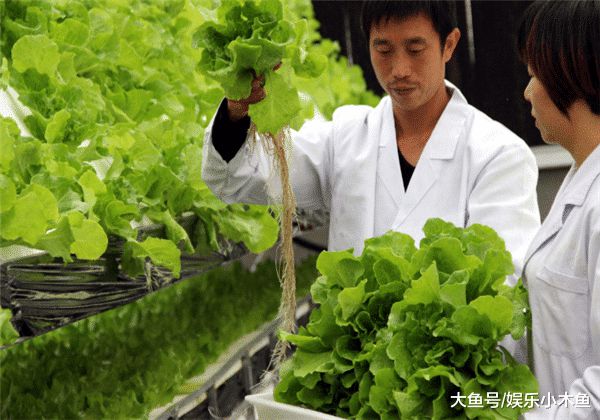 新澳门游戏网站入口无土种植听起来那么不靠谱却能够年入千万！(图5)