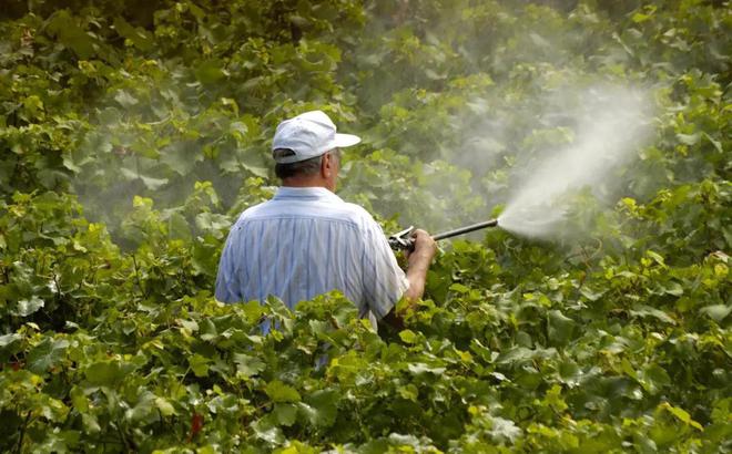 除草剂王者草铵膦使用时加点这种液体事半功倍(图3)