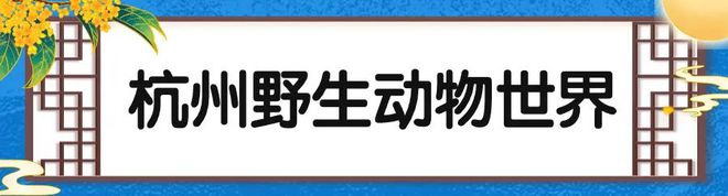 双节去哪玩？富阳攻略！(图4)