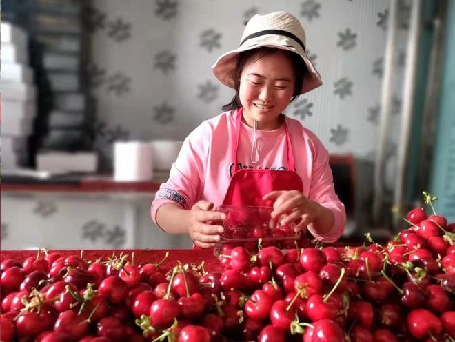 麦积四季：春花夏果 秋收冬制(图)(图4)