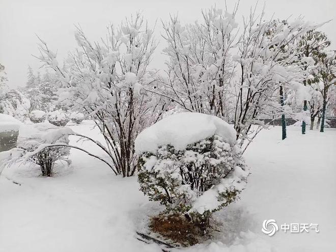 暴雪红色预警！这里的农作物如何防范“倒春寒”？(图2)