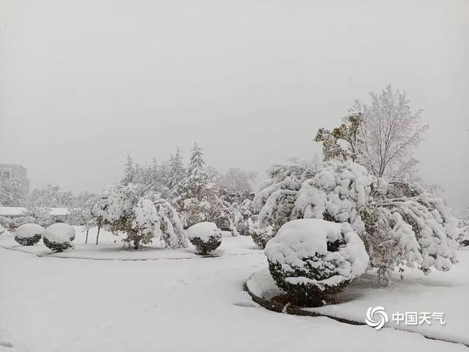 暴雪红色预警！这里的农作物如何防范“倒春寒”？(图1)