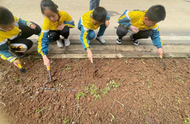 新澳门游戏武汉市光谷第五小学：种下太空种子迎万物复苏(图7)