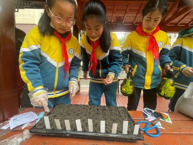 新澳门游戏武汉市光谷第五小学：种下太空种子迎万物复苏(图6)