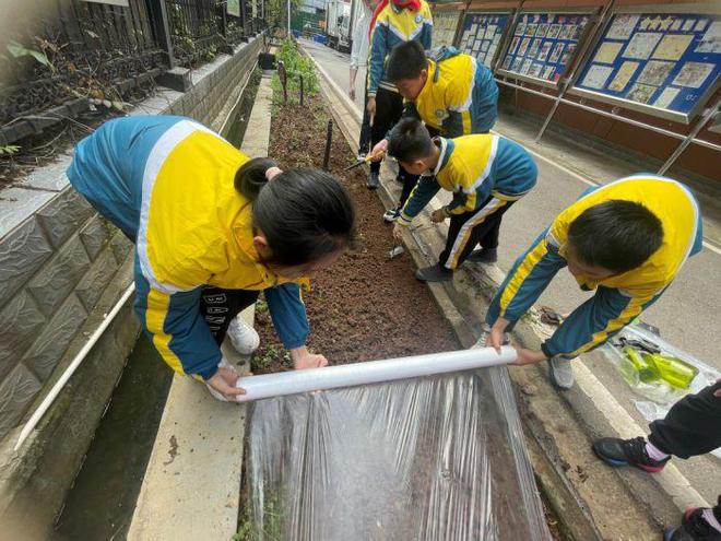 新澳门游戏武汉市光谷第五小学：种下太空种子迎万物复苏(图8)