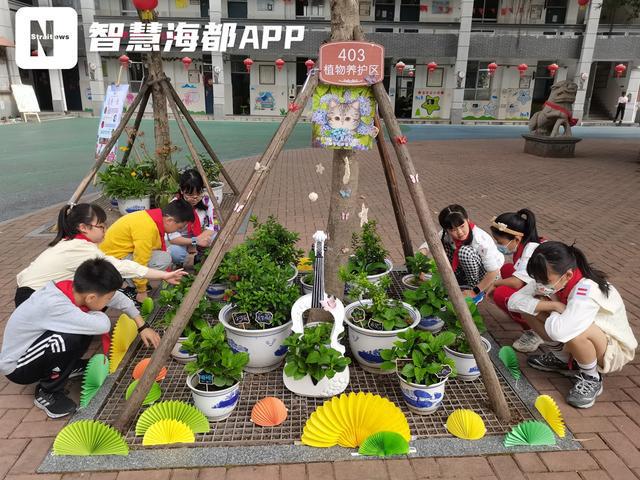 新澳门游戏福州一小学打造“花圃小镇”孩子们当起“护花使者”(图1)