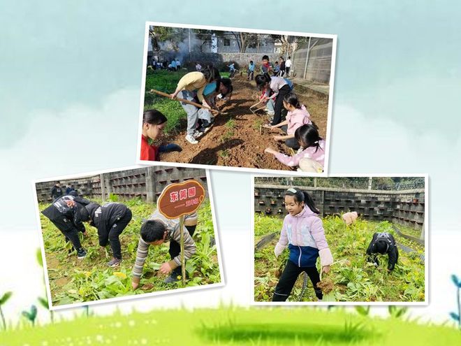 新澳门游戏悦耕耘 悦成长——桂林市二塘中心校种植园开耕啦！(图2)