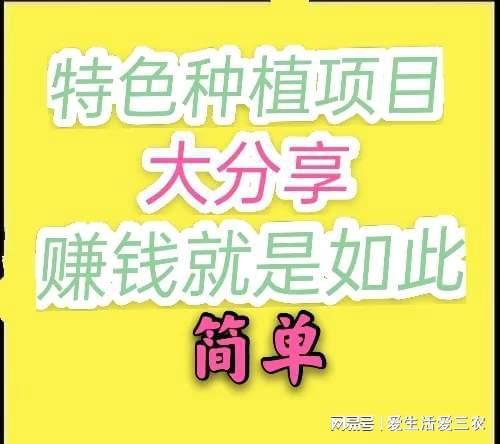 新澳门游戏网站入口分享几个能落地利润高的特色种植项目年入几万很轻松(图2)