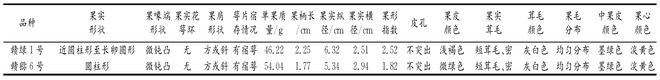 新澳门游戏网站入口赣绿 １ 号毛花猕猴桃的生物学特性和关键栽培技术解析(图8)