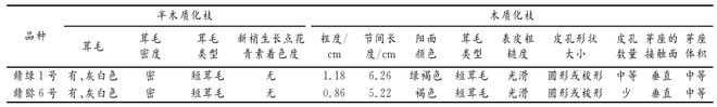 新澳门游戏网站入口赣绿 １ 号毛花猕猴桃的生物学特性和关键栽培技术解析(图6)