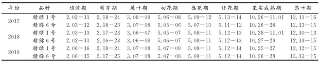 新澳门游戏网站入口赣绿 １ 号毛花猕猴桃的生物学特性和关键栽培技术解析(图2)