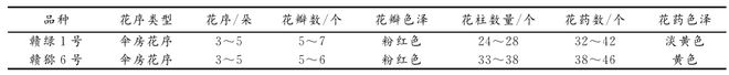 新澳门游戏网站入口赣绿 １ 号毛花猕猴桃的生物学特性和关键栽培技术解析(图4)